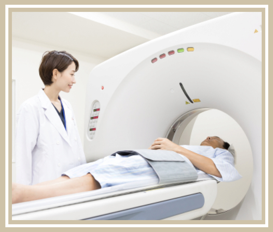 医療・美容・ウェルネス（メディカルツーリズム）